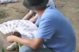 枫溪讨债公司成功追讨回批发货款50万成功案例