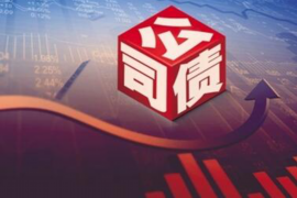 枫溪贷款清欠服务